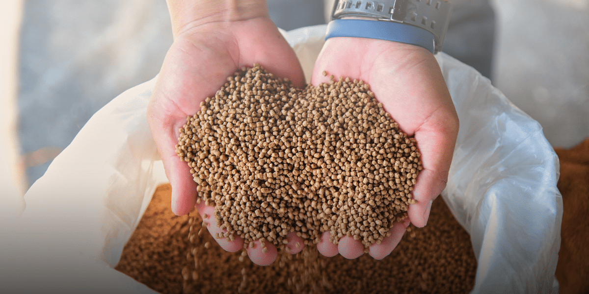 animal feed additives nutrition clay milling
